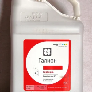 Галион ВР
