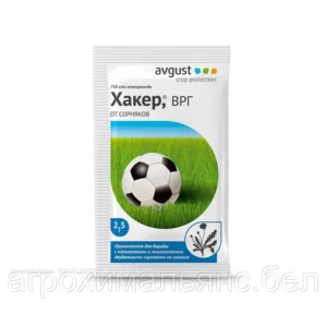 Хакер, ВРГ