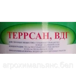 Террсан