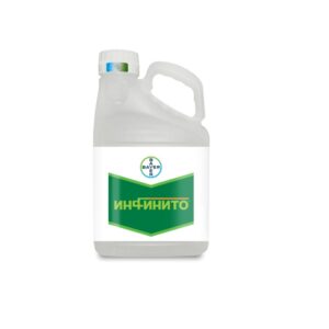 Инфинито, КС