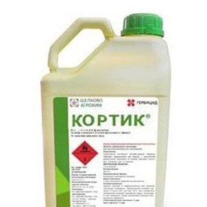 Кортик, ВР